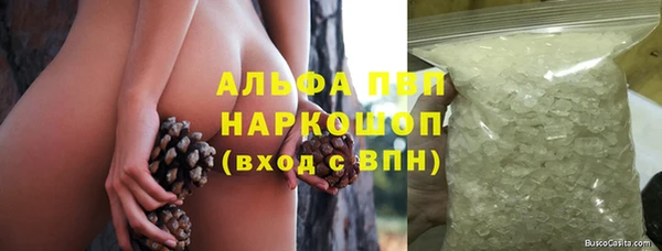 apvp Алзамай