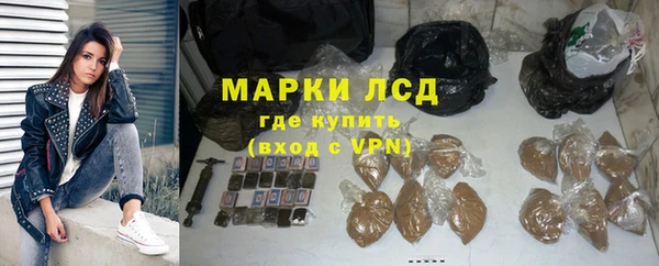 apvp Алзамай