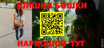 шишки Можга
