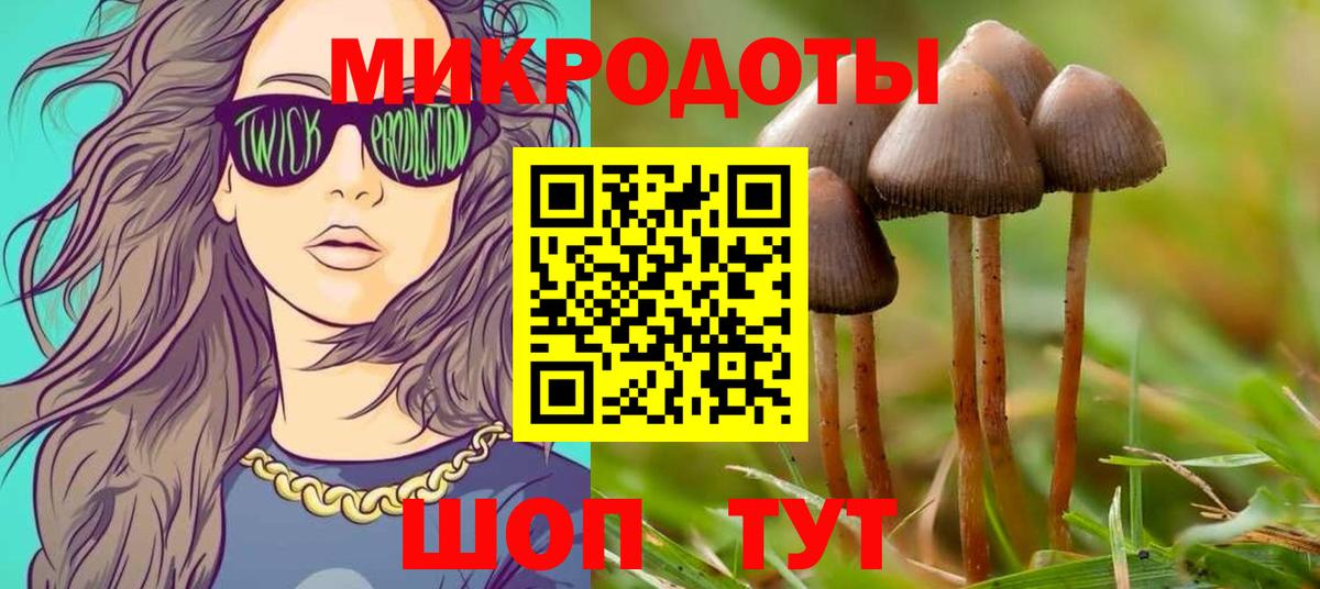 Галлюциногенные грибы мицелий  Псилоцибиновые грибы MAGIC MUSHROOMS  даркнет сайт  Вологда  Вход с VPN 