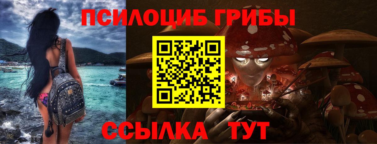 Галлюциногенные грибы Magic Shrooms Вологда
